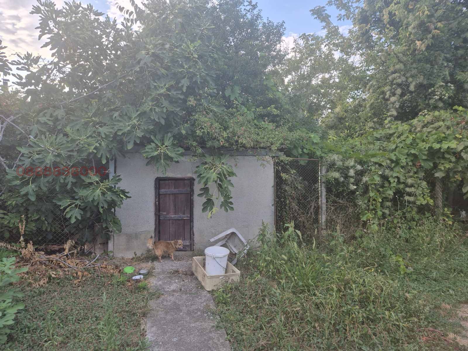 ������� ���� | Imot.bg � ����������� 2