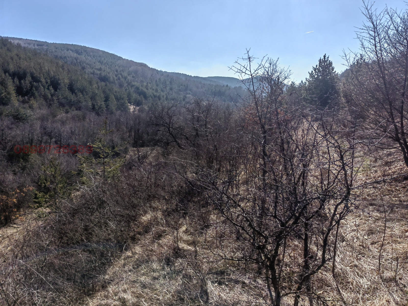 ������� ���������� ���� | Imot.bg � ����������� 1