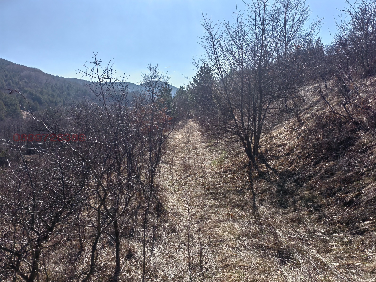 ������� ���������� ���� | Imot.bg � ����������� 2