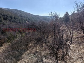 ����� ������� ���������� ����,�. ��������, ������ �����