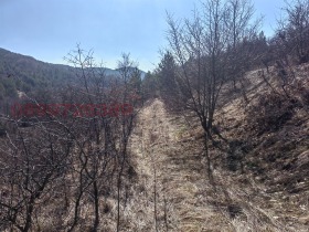 ������� ���������� ���� | Imot.bg � ����� ������ 2