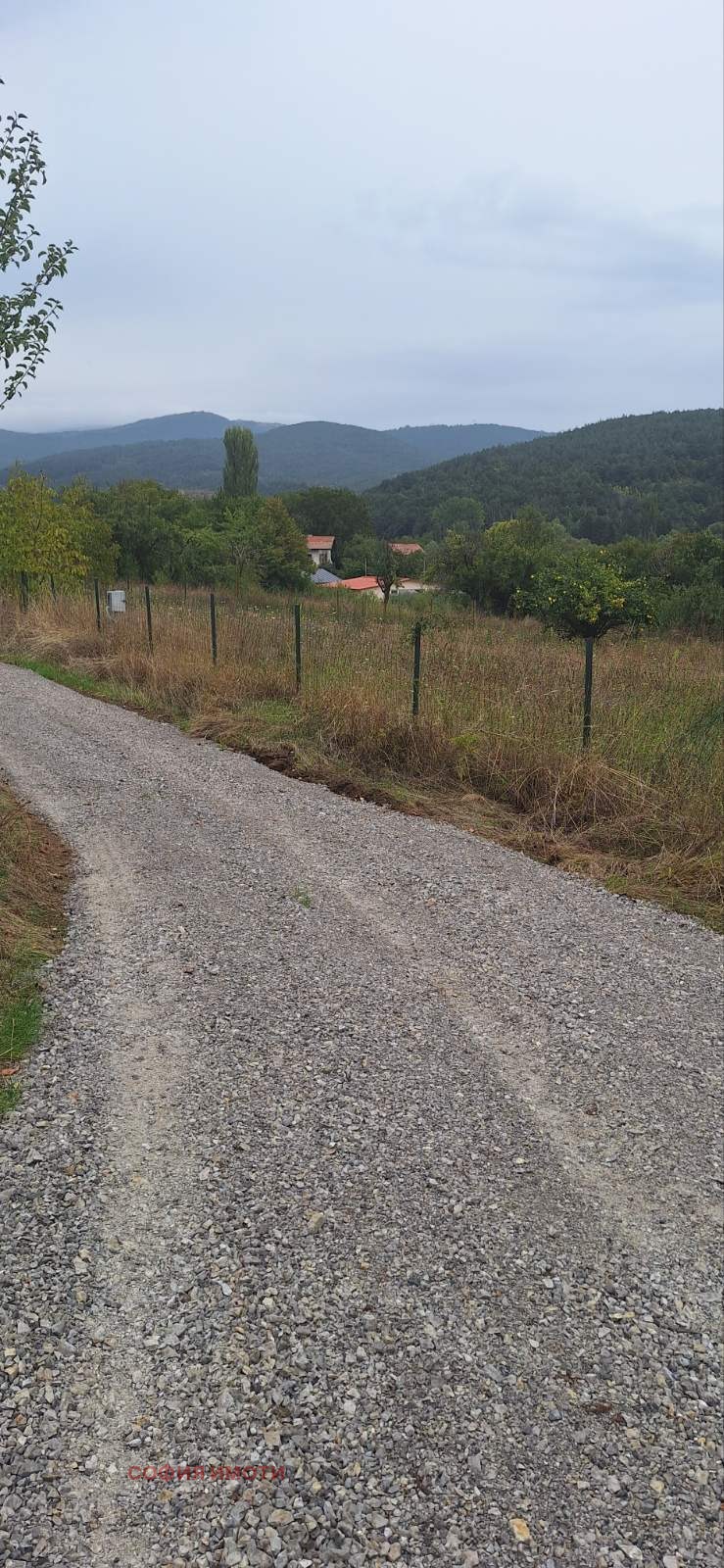 Zu verkaufen  Handlung region Pernik , Gorna Dikanja , 1600 qm | 98200091 - Bild [5]