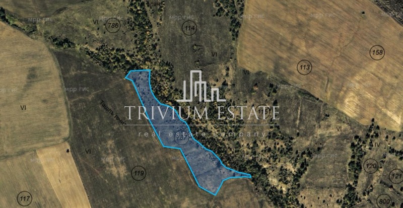 Продава ЗЕМЕДЕЛСКА ЗЕМЯ, с. Балабанчево, област Бургас