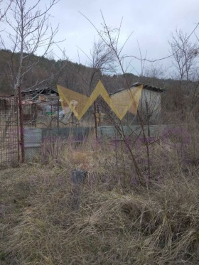 ����� ������� ������,���� �����, �-� �������