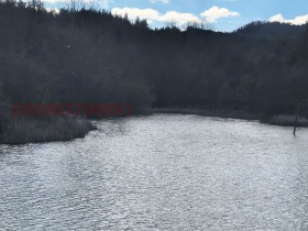 ����� ������� ���������� ����,�. ����������, ������ ���������