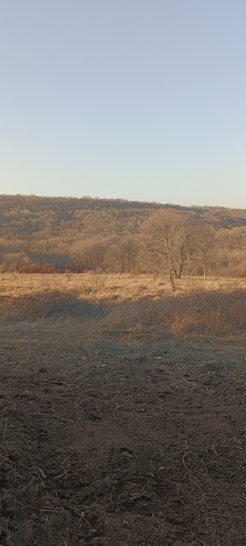 Продава ПАРЦЕЛ, гр. Варна, с. Звездица, снимка 3 - Парцели - 53463565