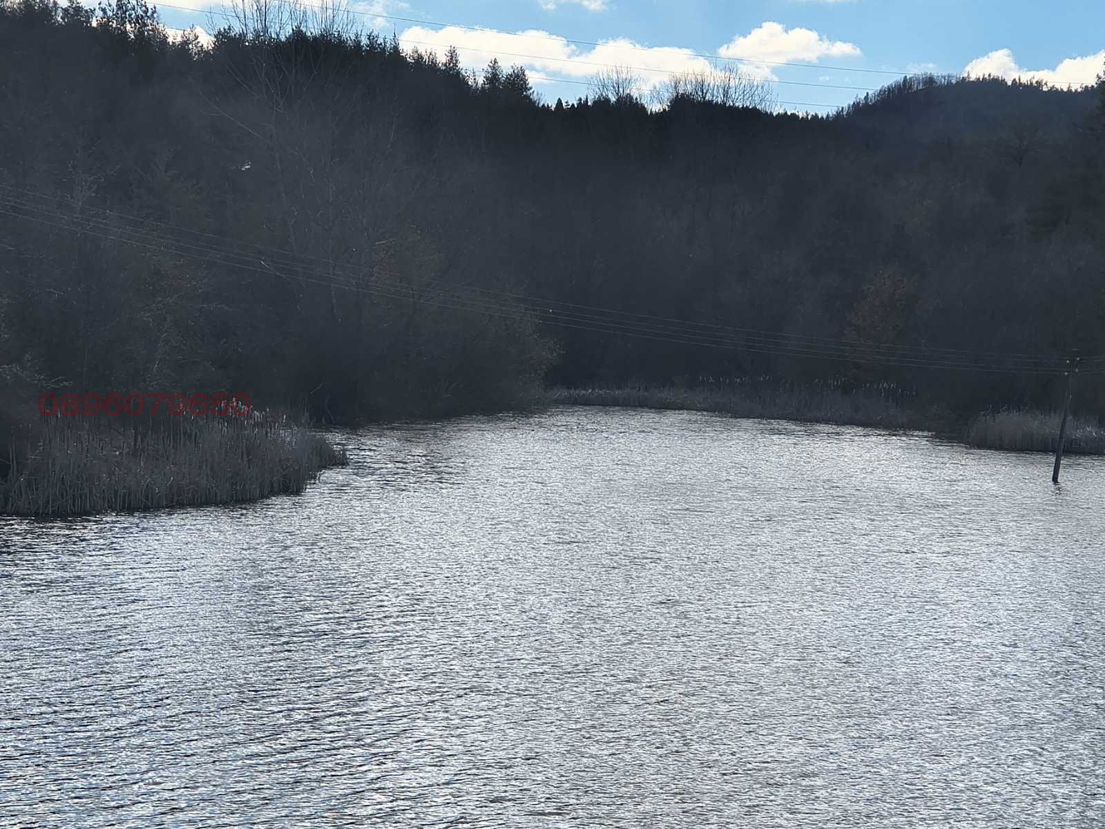 Продава ЗЕМЕДЕЛСКА ЗЕМЯ, с. Преколница, област Кюстендил