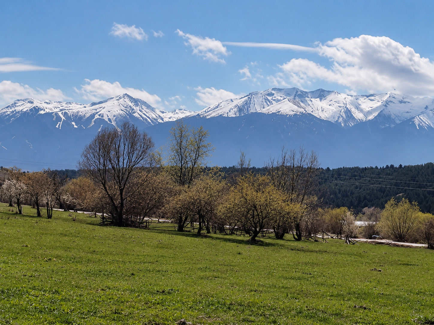 ������� ������ | Imot.bg � ����������� 1