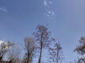 ������� ������ | Imot.bg � ����� ������ 7