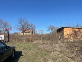 ����� ������� ������,�. �������, ������ ����