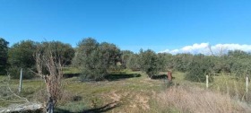 ������� ������ | Imot.bg � ����� ������ 2