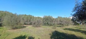 ������� ������ | Imot.bg � ����� ������ 8