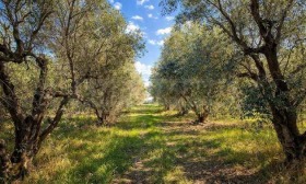 ������� ������ | Imot.bg � ����� ������ 16