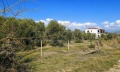 Продава ПАРЦЕЛ, Извън страната, област Извън страната, снимка 5
