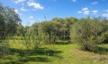 Продава ПАРЦЕЛ, Извън страната, област Извън страната, снимка 13