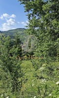 Продава ЗЕМЕДЕЛСКА ЗЕМЯ, гр. Батак, област Пазарджик, снимка 5
