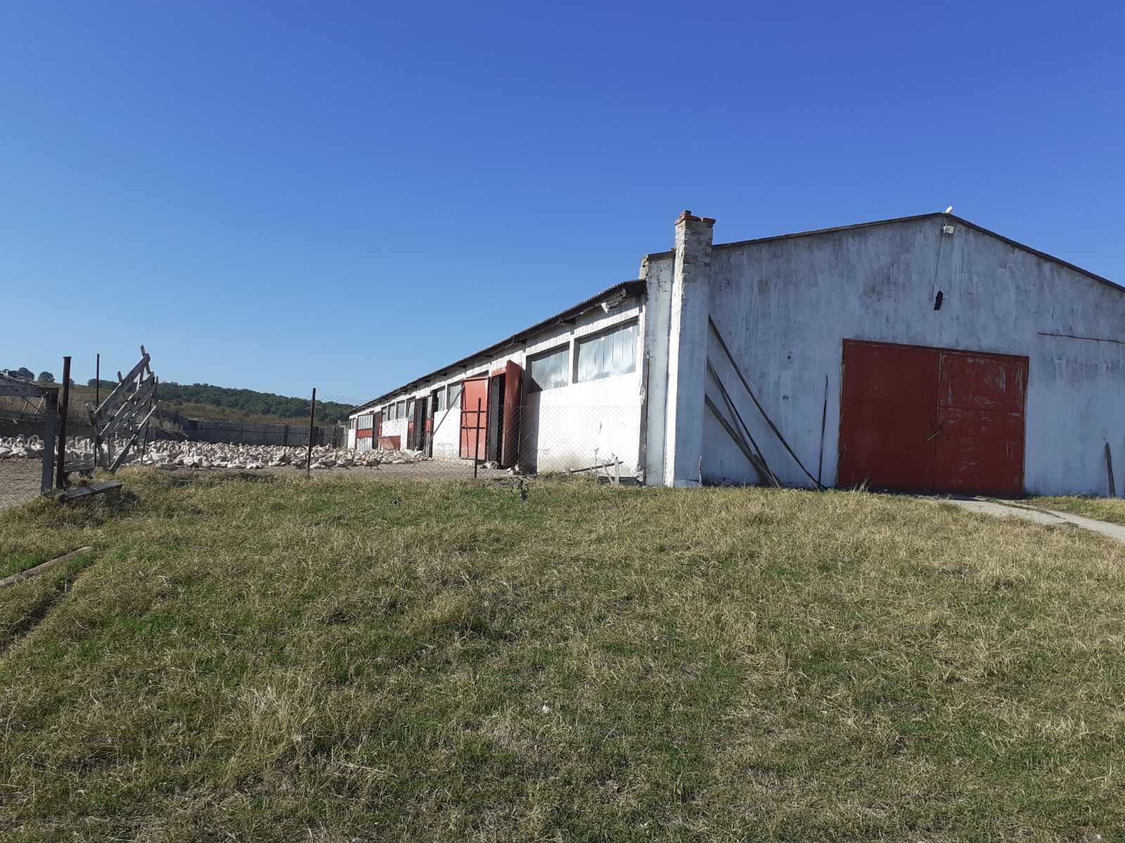 ������� ����� | Imot.bg � ����������� 7