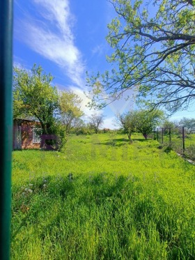 Plott Avren, region Varna 7