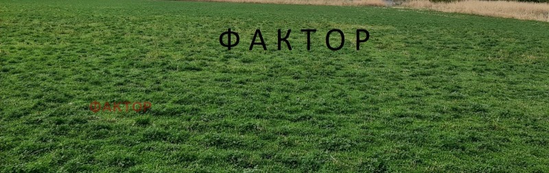 Продава ПАРЦЕЛ в град Пловдив, Кършияка - 6000 кв.м / 660 000 € » 1 290 847.80 лв., ФАКТОР
