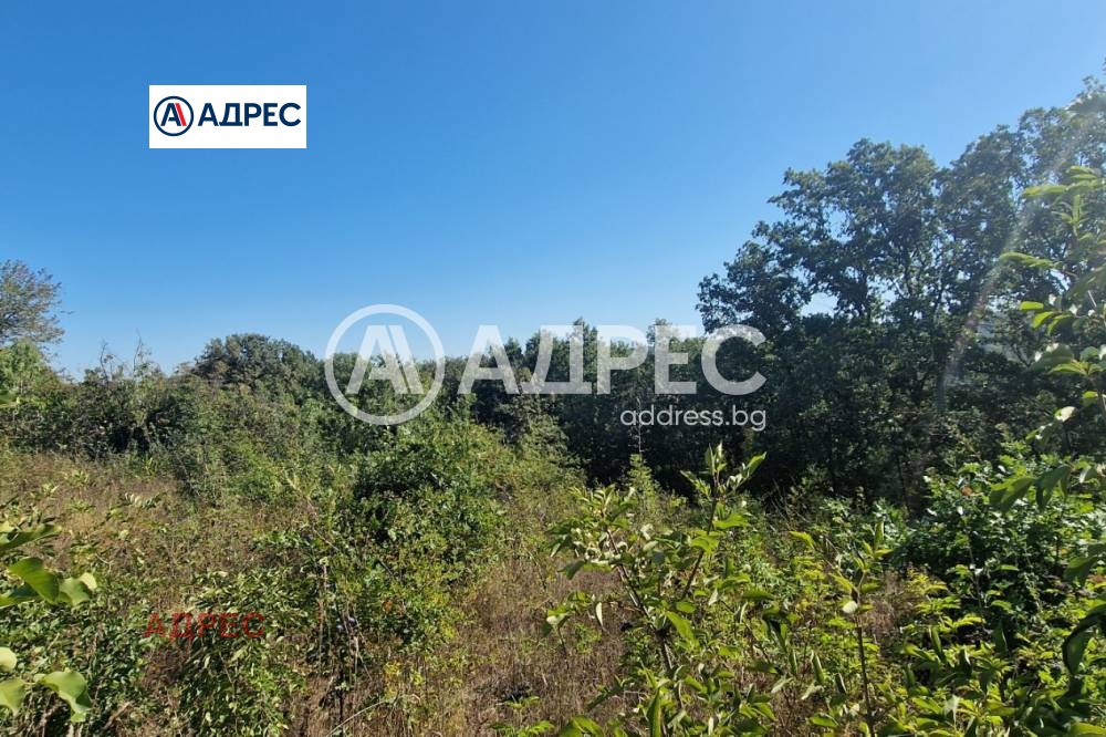 ������� ������ | Imot.bg � ����������� 4