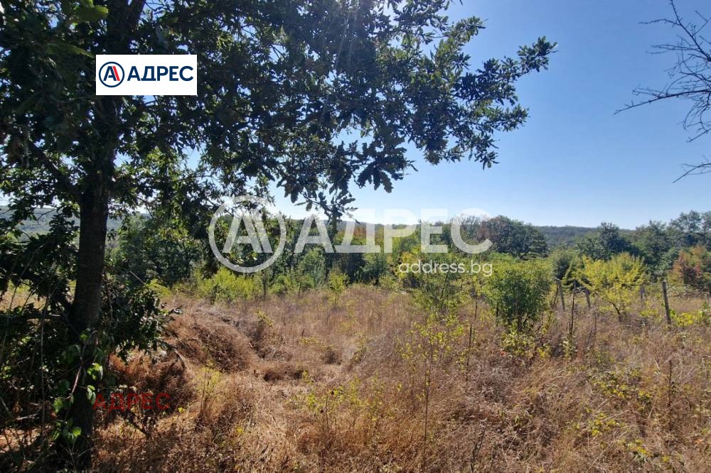 ������� ������ | Imot.bg � ����������� 7