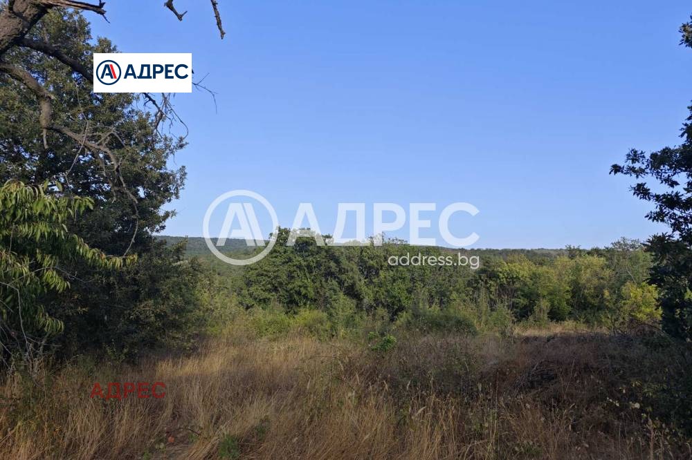 ������� ������ | Imot.bg � ����������� 8