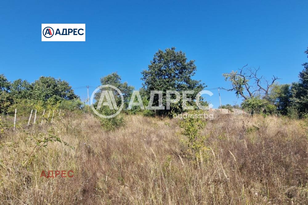 ������� ������ | Imot.bg � ����������� 1