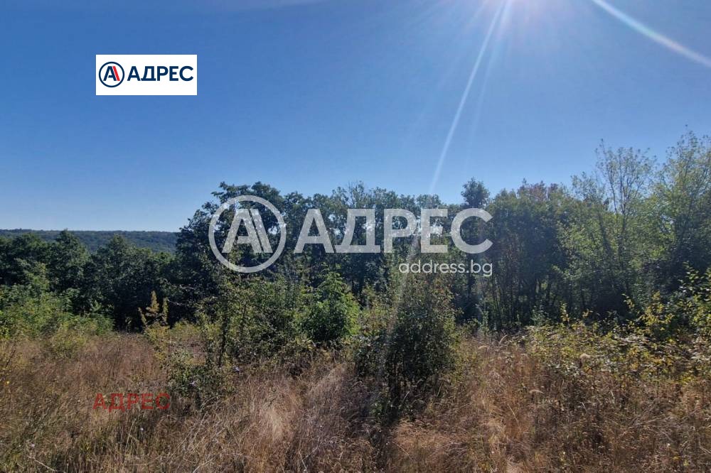 ������� ������ | Imot.bg � ����������� 2