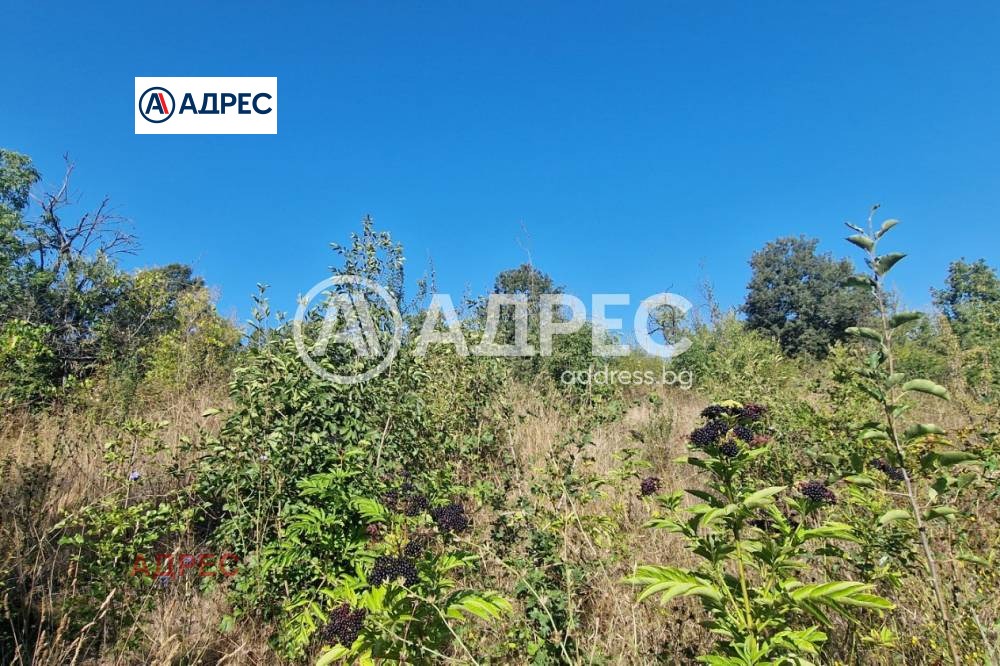 ������� ������ | Imot.bg � ����������� 6