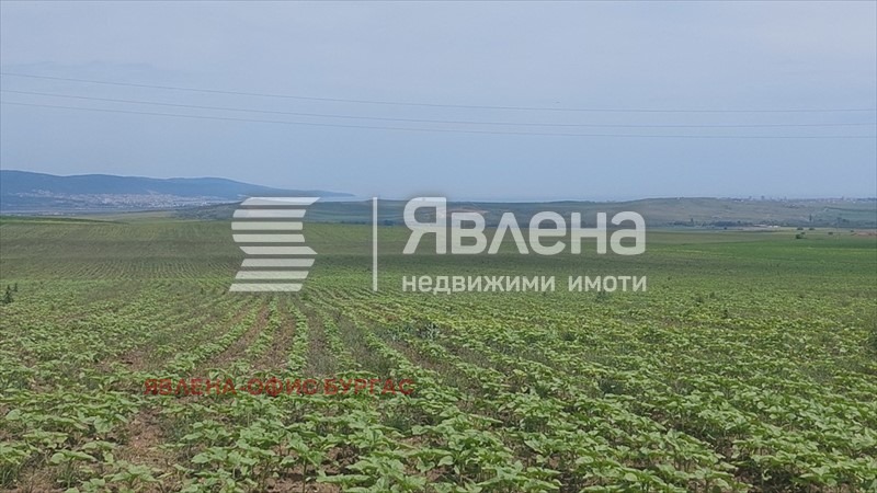 À venda  Trama região Burgas , Kablechkovo , 9000 m² | 43288383 - imagem [2]