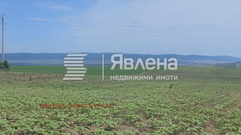 À venda  Trama região Burgas , Kablechkovo , 9000 m² | 43288383 - imagem [3]