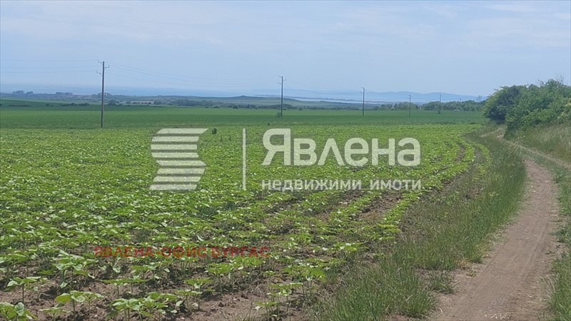 À venda  Trama região Burgas , Kablechkovo , 9000 m² | 43288383