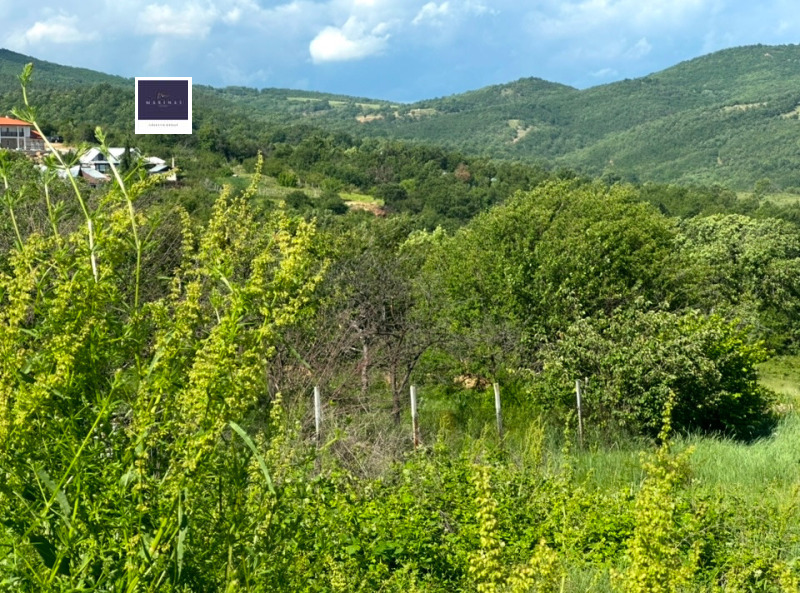 Till salu  Komplott region Sofia , Neikiovec , 850 kvm | 58091315 - bild [3]