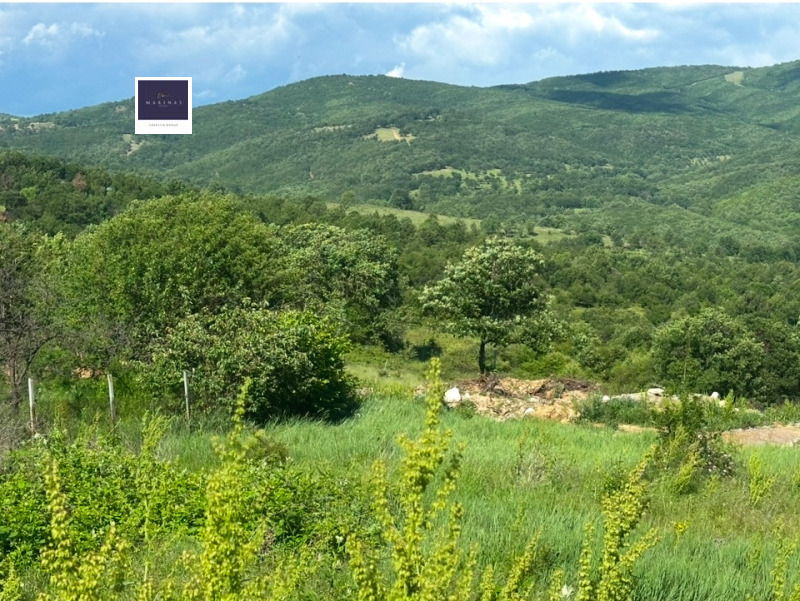 Till salu  Komplott region Sofia , Neikiovec , 850 kvm | 58091315