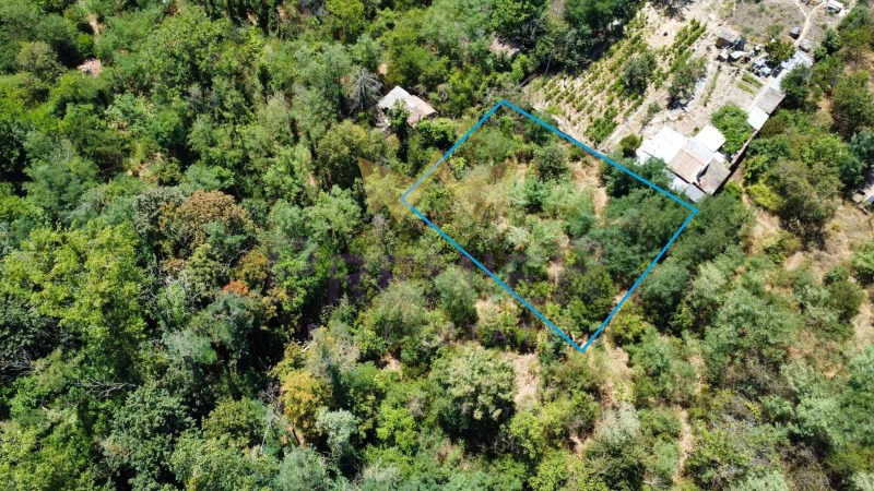 Продаја  Плот Варна , м-т Франга Дере , 554 м2 | 97388560