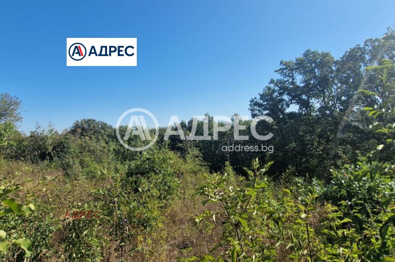 Продава ПАРЦЕЛ, гр. Варна, с. Звездица, снимка 3 - Парцели - 52689373