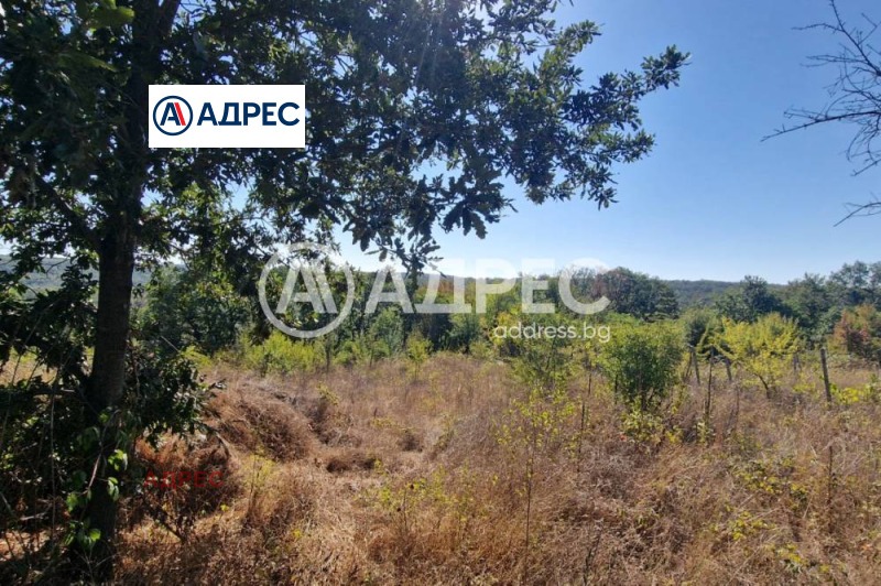 Продава ПАРЦЕЛ, гр. Варна, с. Звездица, снимка 6 - Парцели - 52689373