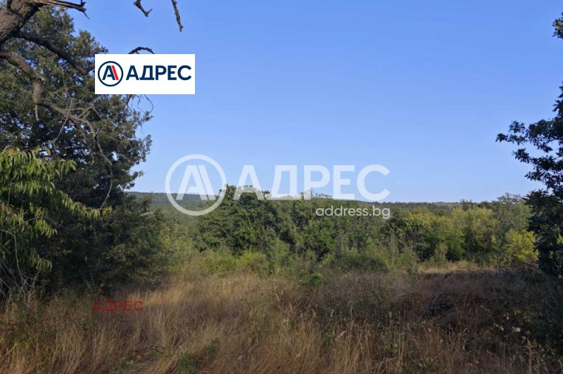 Продава ПАРЦЕЛ, гр. Варна, с. Звездица, снимка 7 - Парцели - 52689373