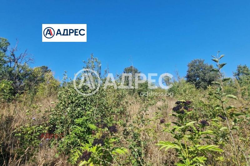 Продава ПАРЦЕЛ, гр. Варна, с. Звездица, снимка 5 - Парцели - 52689373