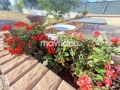 Продава 1-СТАЕН, Гърция, Ксанти • 210000 € / 410724.30 лв. • 16676867 13
