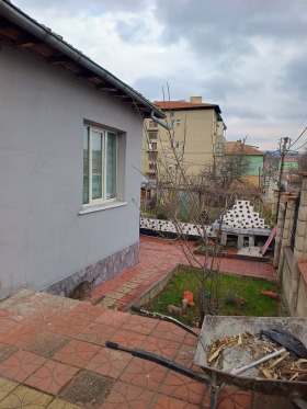 Hus Novi pazar, region Shumen 2