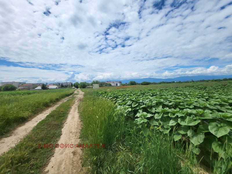 In vendita  Complotto Pazardgik , Zapad , 550 mq | 77114736 - Immagine [3]