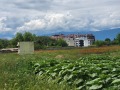 Продава ПАРЦЕЛ, гр. Пазарджик, Запад, снимка 2