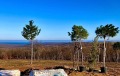 Продава КЪЩА, област Варна, с. Приселци • 269000 € • 95693701 — Holmes.bg