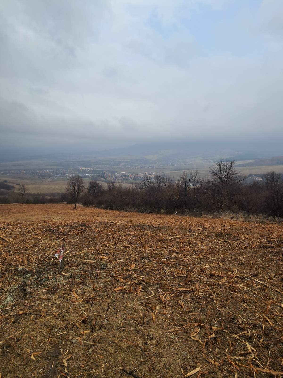 ������� ������ | Imot.bg � ����������� 5