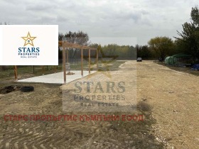 ������ ������� ������