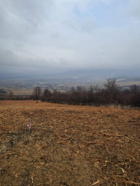 ������� ������ | Imot.bg � ����� ������ 5