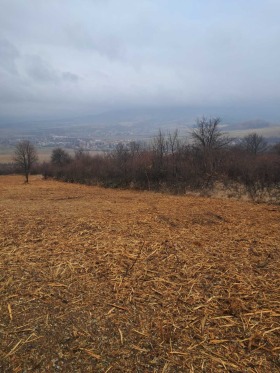 ������� ������ | Imot.bg � ����� ������ 3