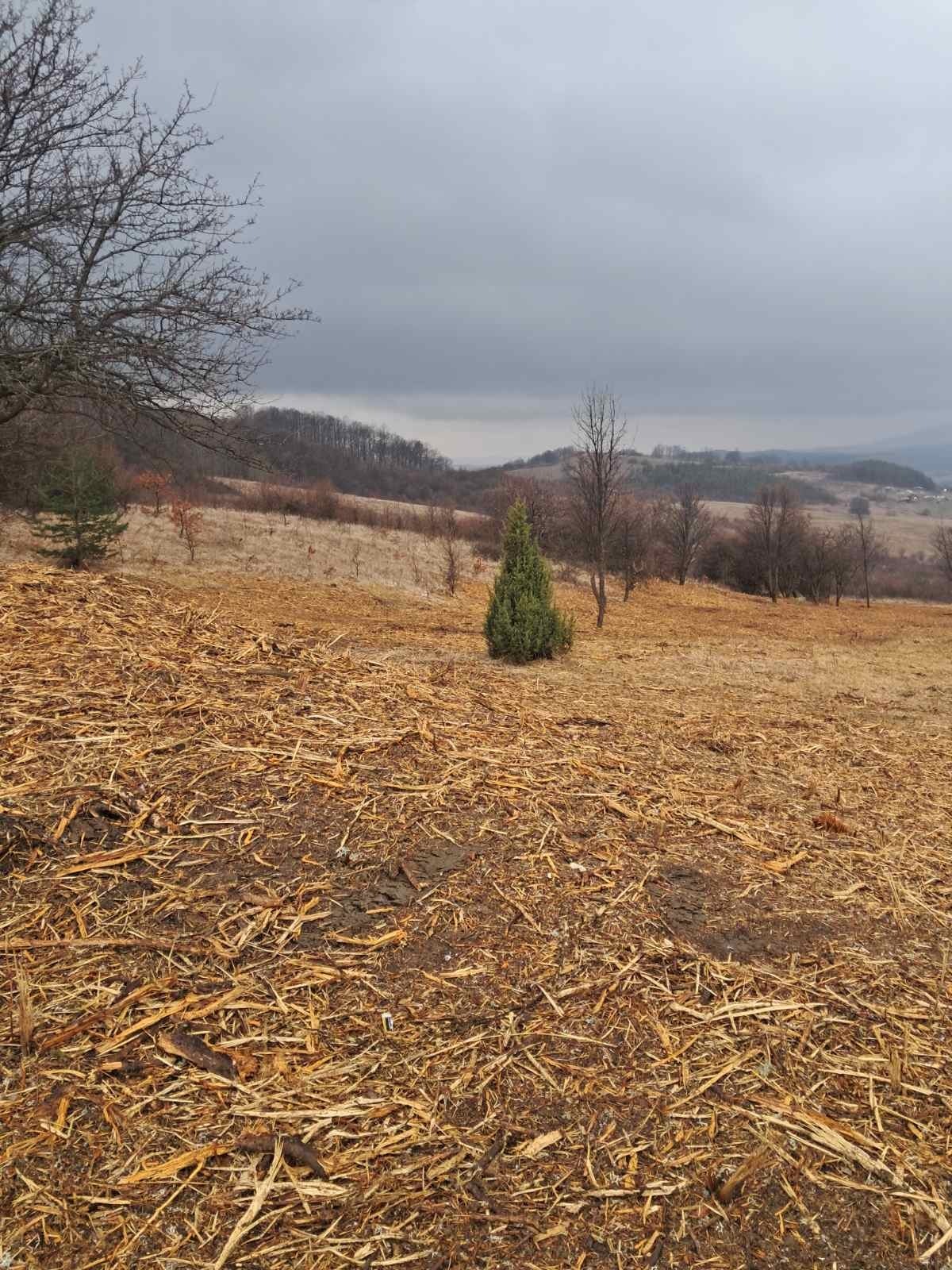 Продава ПАРЦЕЛ, с. Рударци, област Перник, снимка 4 - Парцели - 54007403