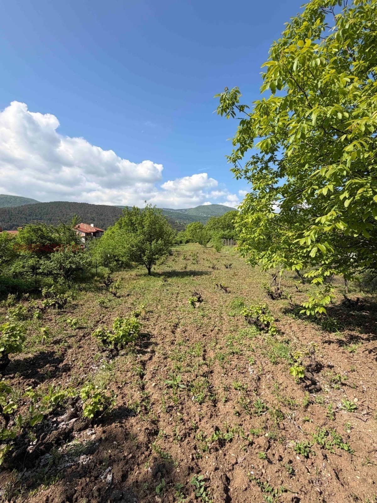 Продава ЗЕМЕДЕЛСКА ЗЕМЯ, гр. Асеновград, област Пловдив